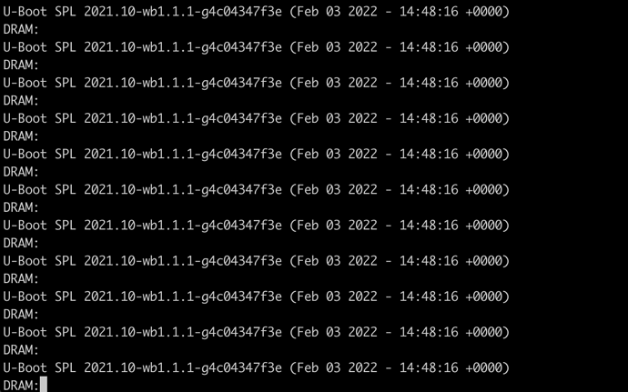 2021.10-wb1.1.1-04c043473e (Feb 03 2022 - 144816 +0000)