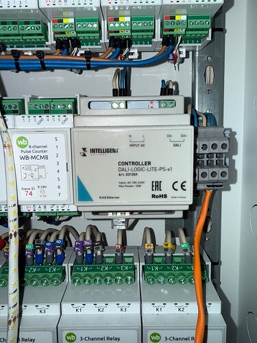 На изображении показан электрический щит с контроллером DALI и несколькими реле, подключенными к различным проводам. (Captioned by AI)