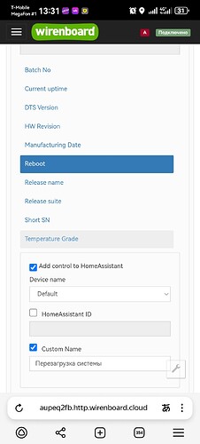На изображении представлен интерфейс управления устройством Wirenboard с различными параметрами, такими как "Reboot", "Add control to HomeAssistant" и полями для ввода данных. (Captioned by AI)