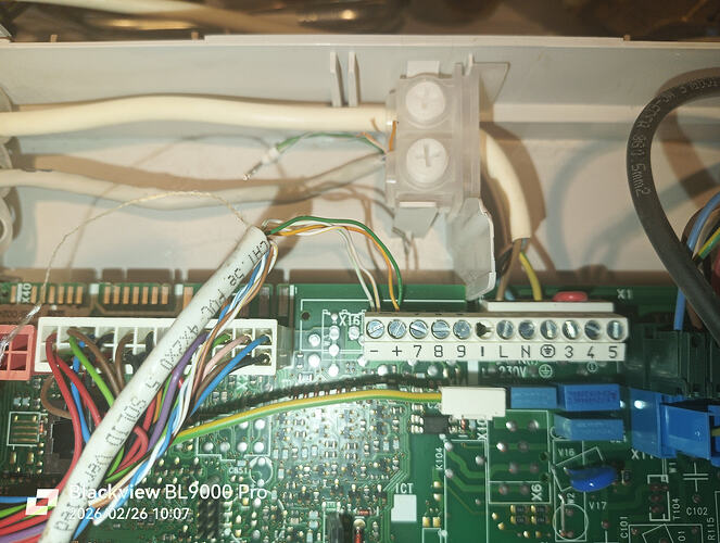 IMG_20260226_100739_856