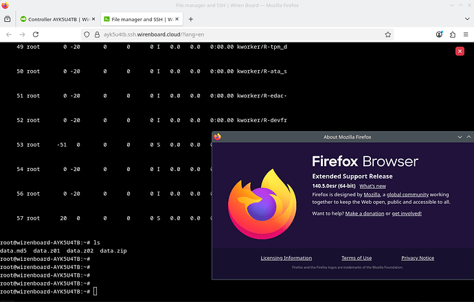 Изображение показывает интерфейс терминала на устройстве с подключенным браузером Firefox, где запущены команды и отображается информация о процессе. (Captioned by AI)