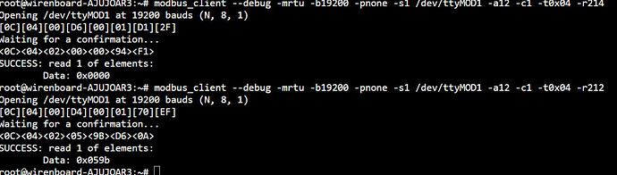 На изображении представлен терминал с выводом командного клиента modbus для чтения данных с устройства через последовательный порт. (Captioned by AI)