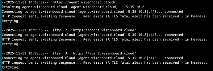 На изображении показан лог подключения к веб-адресу, где возникла ошибка TLS. (Captioned by AI)