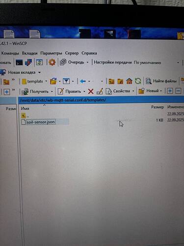 На изображении показан экран программы WinSCP, где открыта папка с файлом soil-sensor.json на удалённом сервере. (Captioned by AI)
