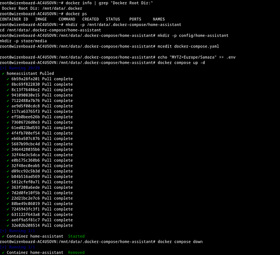 На изображении представлена терминальная сессия с выполнением команд Docker для настройки и запуска контейнера home-assistant. (Captioned by AI)