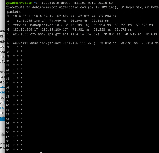 На изображении показан вывод команды tracert, который отображает маршруты до сервера debian-mirror.wirenboard.com с информацией о задержках между узлами. (Captioned by AI)