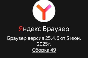 На изображении отображается информация о браузере Яндекс, версия 25.4.6 от 5 июня 2025 года, сборка 49. (Captioned by AI)