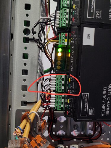 photo_2026-01-29_12-59-28