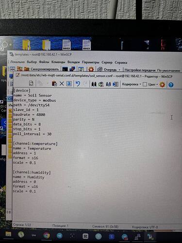 На изображении видно окно текстового редактора WinSCP с открытым файлом конфигурации для модбас-датчика влажности и температуры почвы. (Captioned by AI)