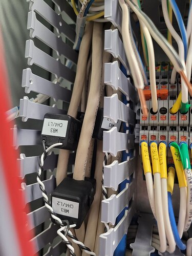 photo_2026-01-29_13-19-41