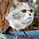 Equilibrium_unknow